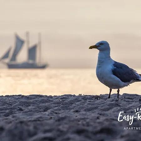 Dwupoziomowy Grande Apartman *