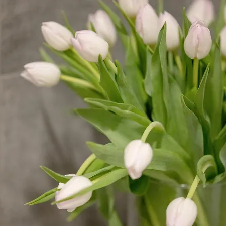 Dwupoziomowy Grande * Rewal