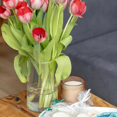 Apartamento Dwupoziomowy Grande