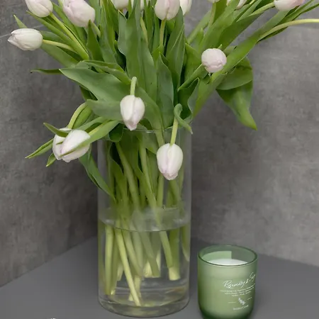 Dwupoziomowy Grande Apartamento