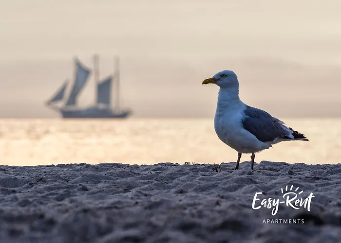 Dwupoziomowy Grande Апартаменты *