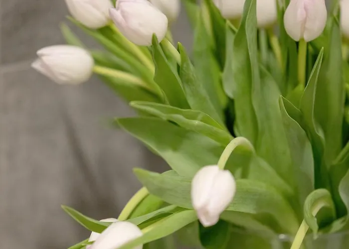 Dwupoziomowy Grande * Реваль