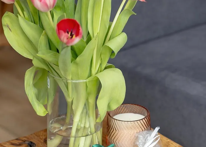 Апартаменты Dwupoziomowy Grande