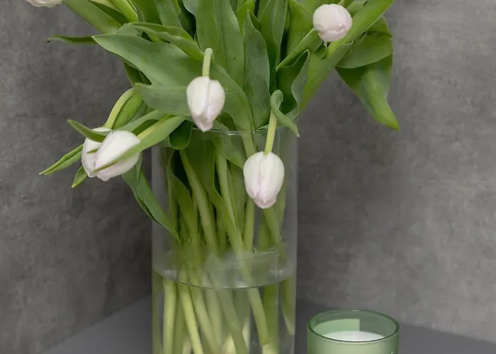 Dwupoziomowy Grande Апартаменты